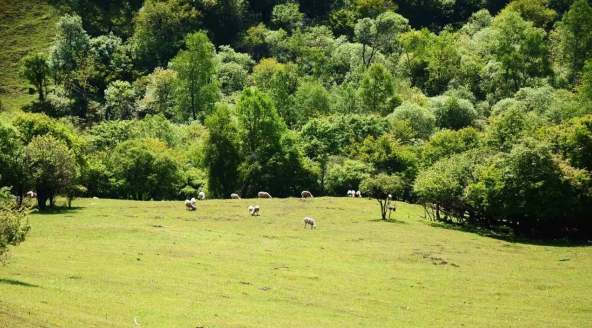 亿万先生mr·(中国区)官方网站