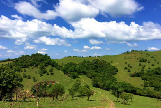 亿万先生mr·(中国区)官方网站