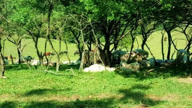 亿万先生mr·(中国区)官方网站