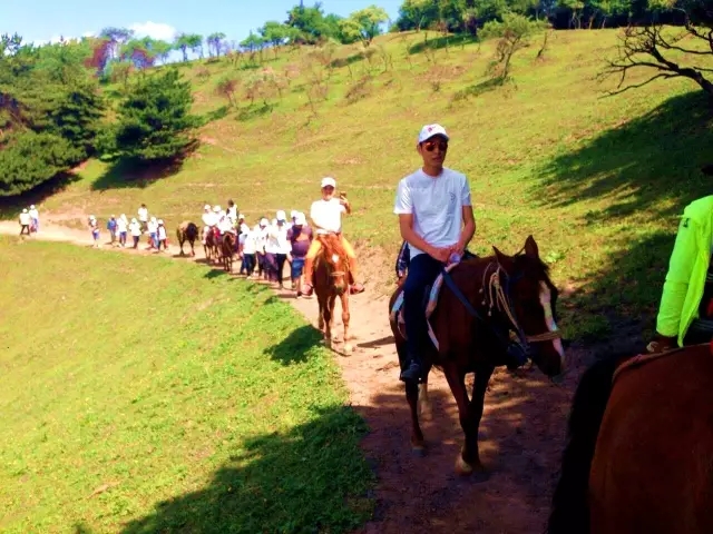 亿万先生mr·(中国区)官方网站