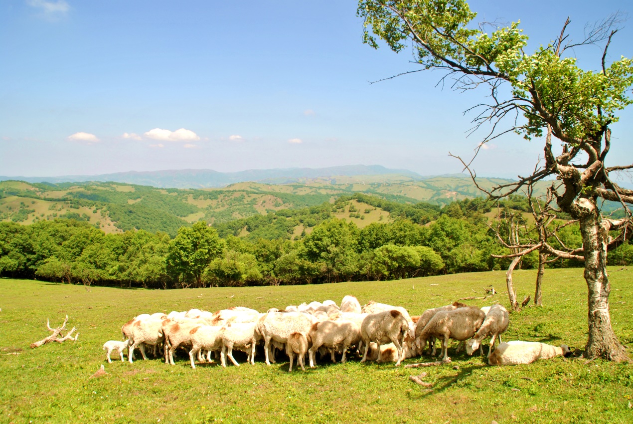 亿万先生mr·(中国区)官方网站